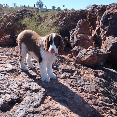 Profile Picture of Jim (@Guinness_kel) on Twitter