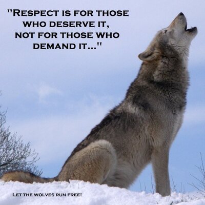 Profile Picture of Doug Carey (@_Doug_1) on Twitter