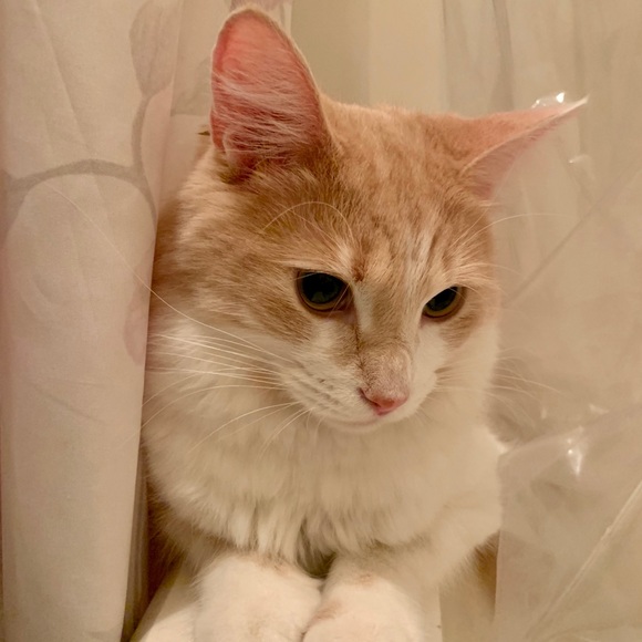 Profile Picture of Katherine Benefield (@cosmicspacekid) on Poshmark