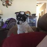 Profile Picture of Lance Bradford (@lbradf4) on Instagram