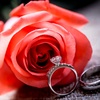Profile Picture of Apurva Patel (@@apurvapatel871) on Tiktok