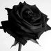 Profile Picture of Lor Pha (@lor.pha.3) on Facebook