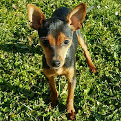 Profile Picture of Mauro Rocco (@maurorocco7904) on Youtube