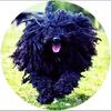 Profile Picture of Claire Nutter Kulawy (@@clairenutterkulaw) on Tiktok