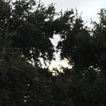 Profile Picture of Keith Knechtel (@konnecter) on Instagram