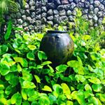 Profile Picture of Nidal Haddad (@nidal.h) on Instagram