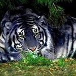 Profile Picture of Randall Reyes (@randall.reyes.758) on Instagram