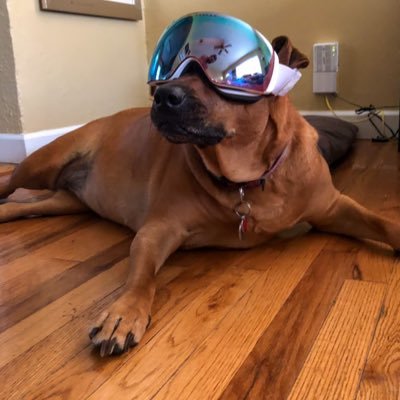 Profile Picture of Derek Rahn (@DEREKRAHN) on Twitter