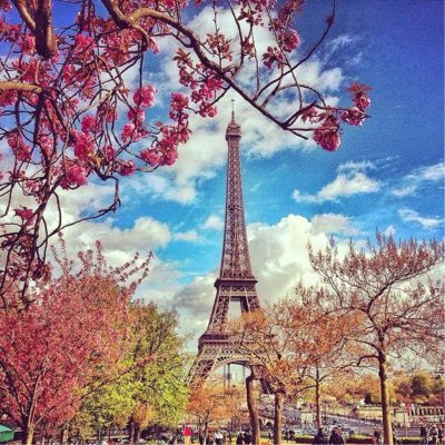 Amanda Lynn Candela - Twitter Profile Picture of Amanda Lynn Candela (@CandelaLynn) on Twitter