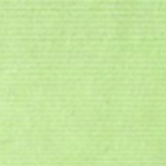 Profile Picture of Fran Chesler (@cheslerfl) on Poshmark