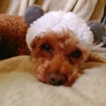 Profile Picture of Tiantian Zhang (@photo_ti_an) on Instagram