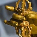 David Lipschutz - Instagram Profile Picture of David Lipschutz (@pema_n) on Instagram