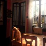 brucetas.imperio - Instagram Profile Picture of brucetas.imperio (@brucetas.imperio) on Instagram