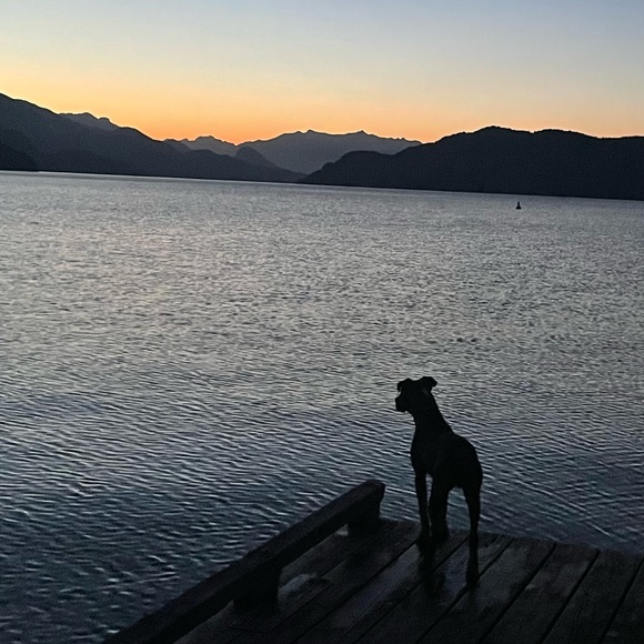 Profile Picture of Taylor Broatch (@pablovangool) on Poshmark