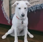 Profile Picture of Craig Cheatham (@Craig-Cheatham) on Facebook