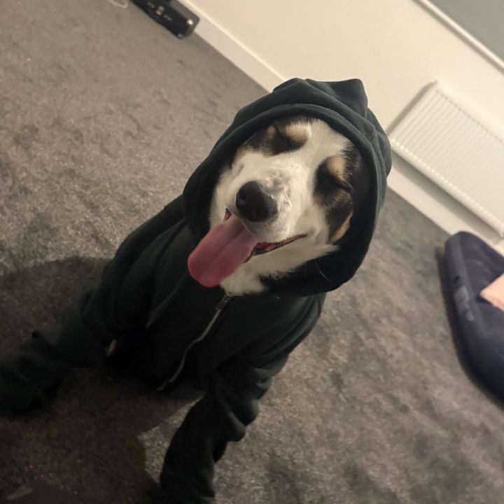 Profile Picture of Nigel (@nigel.harris12621) on Tiktok