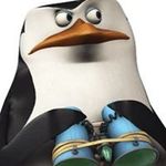 Profile Picture of Bruce Maley (@maleybr) on Instagram