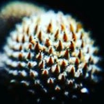 Profile Picture of justin photo macro (@justin_de_villiers_macro) on Instagram