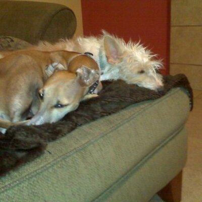 Profile Picture of Leslie Ackerson (@Lackslee) on Twitter