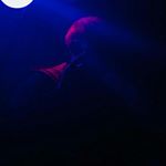 Profile Picture of Chris Colbath (@chefchriscolbath) on Instagram