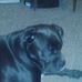Profile Picture of Jeff Reser (@profile.php) on Facebook