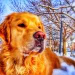 Profile Picture of doug kelly (@hangin_with_mrcooper) on Instagram