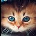 Profile Picture of Sylwia Michalska (@sylwia.michalska.14473) on Facebook