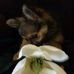 Profile Picture of Dawn Mccombs (@dawn.mccombs.58) on Facebook
