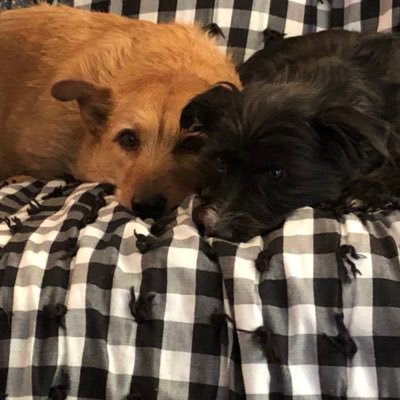 Profile Picture of Robbie William Carty (@robbiecarty2424) on Twitter