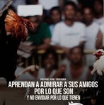 Profile Picture of Lorito Reynosa (@lorito.reynosa) on Facebook