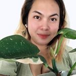 Profile Picture of Julie Ann (@julytheplantmama) on Instagram