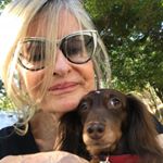 Profile Picture of Monica Steiner (@steiner_monica) on Instagram