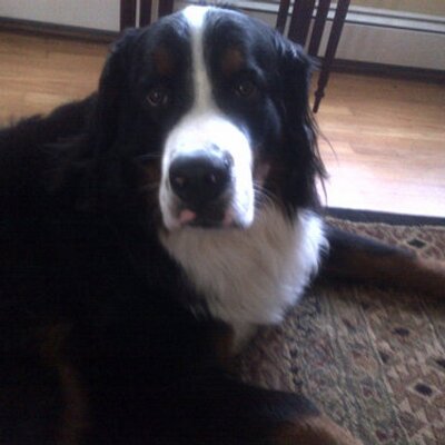 Profile Picture of Sean Langille (@dualtemp) on Twitter