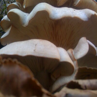 Profile Picture of Jason R G Coulson (@jrgcoulson) on Twitter