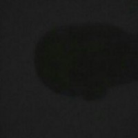 Profile Picture of Claudio Lanza (@claudio-lanza) on Quora