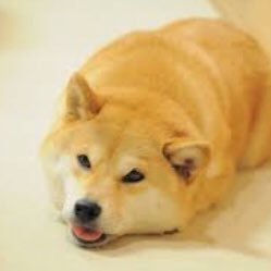 Profile Picture of Miles Patton (@milespatton4) on Twitter