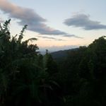 Profile Picture of cedric pascoe (@cedricpascoe) on Instagram