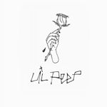 Profile Picture of David Musil (@davidmusil_) on Instagram