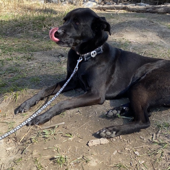 Profile Picture of Felicia Salzmann (@feliciamarie007) on Poshmark