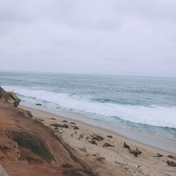 Profile Picture of Nezha Belfki (@nezha_belfki) on Poshmark