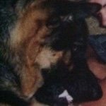 Profile Picture of Daniel Runnels (@daniel_e55_amg) on Instagram