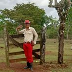 Profile Picture of Noel Rocha (@Noel-Rocha) on Facebook