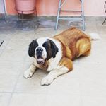 Profile Picture of Calvin (@edgaralvarez237) on Instagram