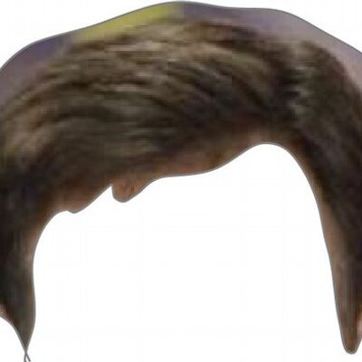 Profile Picture of Bob Costas' Hair (@CostasHair) on Twitter