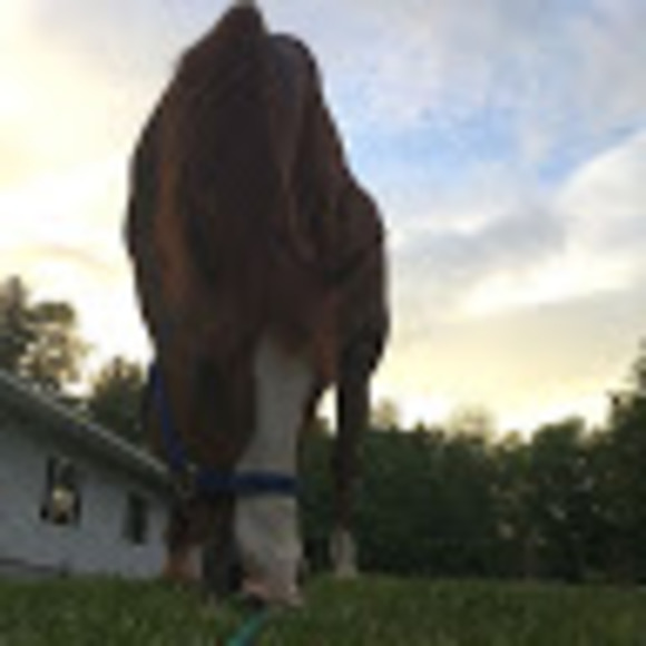 Profile Picture of Mia Fidyk (@mfidyk429) on Poshmark