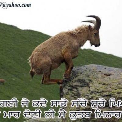 Ravinder Cheema - Twitter Profile Picture of Ravinder Cheema (@Ravi123Cheema) on Twitter