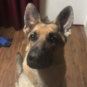 Profile Picture of Tyson Boyd Watamanuk (@TysonBoydWatamanuk) on Youtube