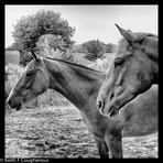 Profile Picture of Keith F Coughenour (@Keithfcoughenour) on Facebook