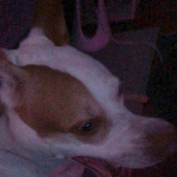 Profile Picture of Johnathan Kimbell (@zdira) on Poshmark