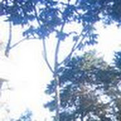 Profile Picture of Esther Julia Naranjo (@estherjulianaranjo5840) on Youtube